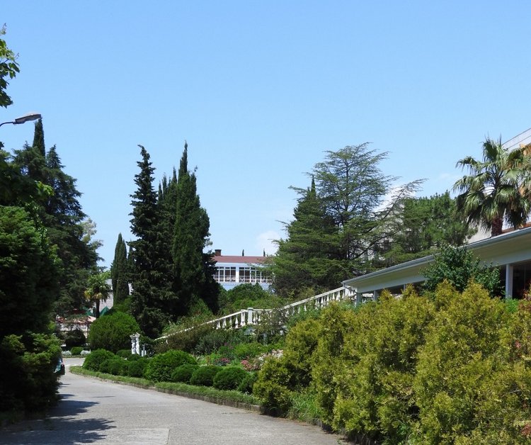 Краснодарский Край, Сочи-Адлер, Санаторий «Южное Взморье» (фото 8)