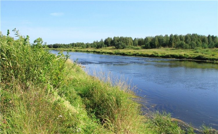 Инопланетянка Нийя. Custom Blythe Doll UFO Go Go Takara