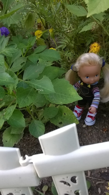 Девчонка по имени Женька-подарок форумчанки Анечки