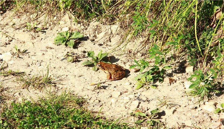 Старицкая Швейцария. Старицкие пещеры, д. Толпино, заключительная часть