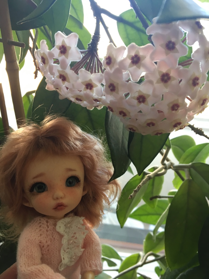 Каникулы Антошки — Куклы Fairyland (ФэйриЛэнд): BJD (БЖД) (фото 5)