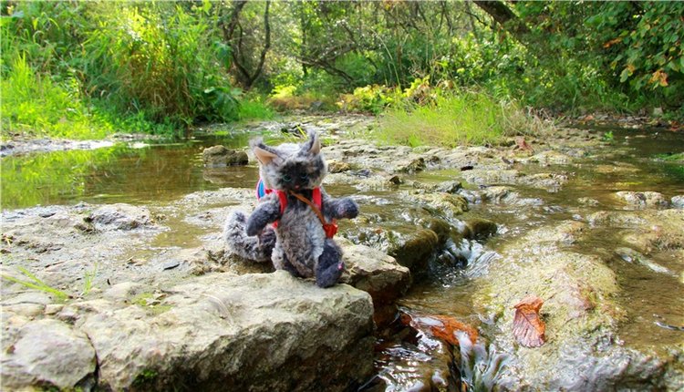 Старицкая Швейцария. Путешествие с Сашей, продолжение. Уникальная кукла от Сильвии Наттерер