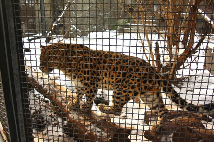 Московские каникулы. Часть 1