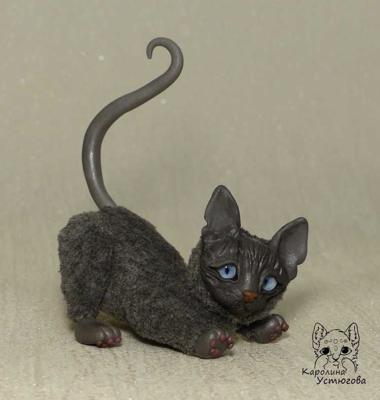 Миниатюрные серые Сфинксы