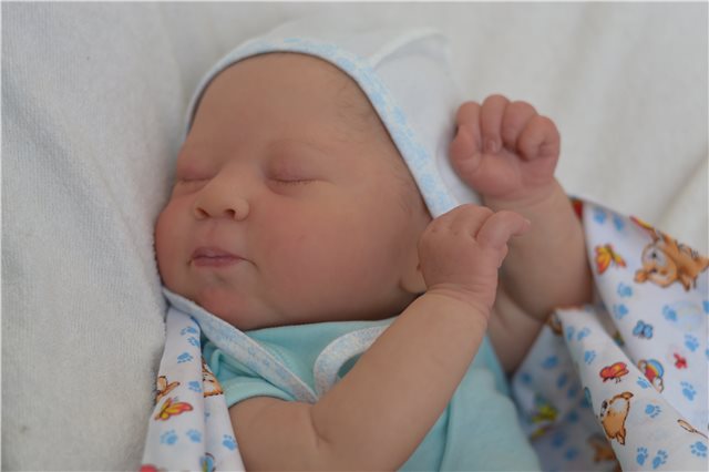 Мои новорожденные малыши. Кукла реборн | Бэйбики Мои новорожденные малыши. Кукла реборн