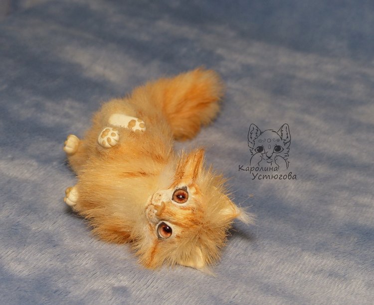 Мейн-ку́н, миниатюра. Рыженький (фото 5)