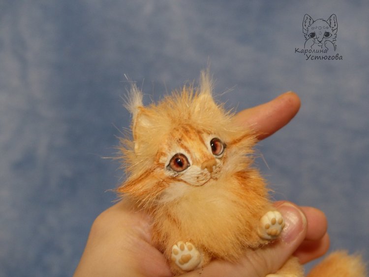 Мейн-ку́н, миниатюра. Рыженький