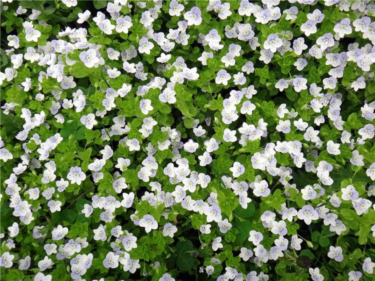 Милый мой город. Прогулка по Твери, заключительная часть