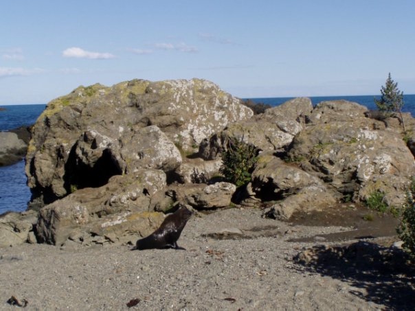 Увлекательное путешествие по Новой Зеландии