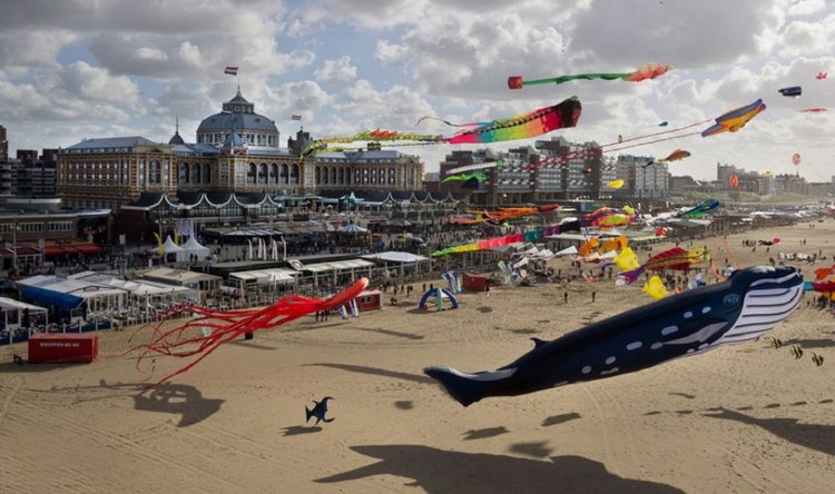 Мисс Бэйбики 2019. Фотосессия в купальнике - часть вторая | Бэйбики Мисс Бэйбики 2019. Фотосессия в купальнике - часть вторая