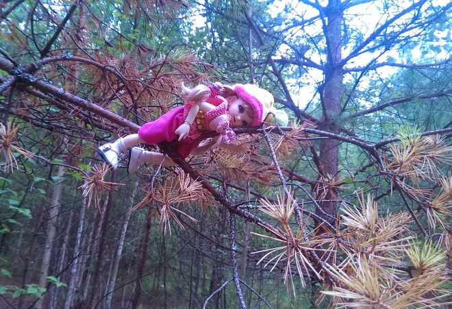 Лесные приключения... Волшебство, сосны, грибы, полетаем)