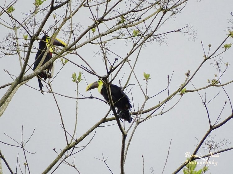 Любителям природы - профессиональные фотографии (выпуск 4)