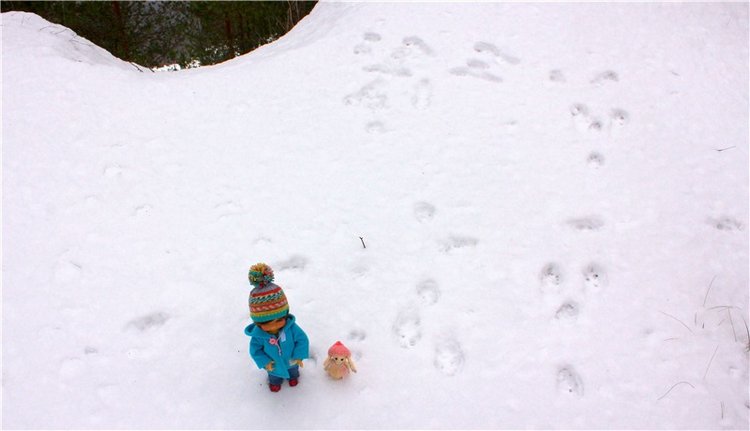 Бейли и Дий. Mini Bailey SK от Meadow dolls