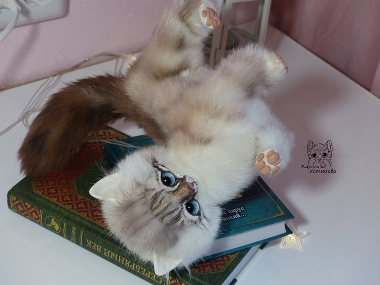 Котенок породы : Невский Маскарадный, окрас сил тэбби пойнт (фото 10)