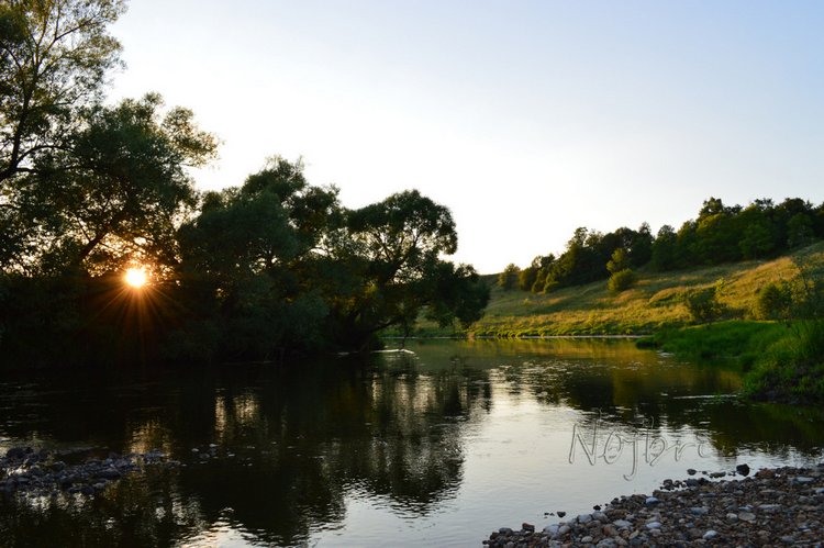 Миссис Бэйбики. Царевна - лягушка. Визитная карточка (фото 3)