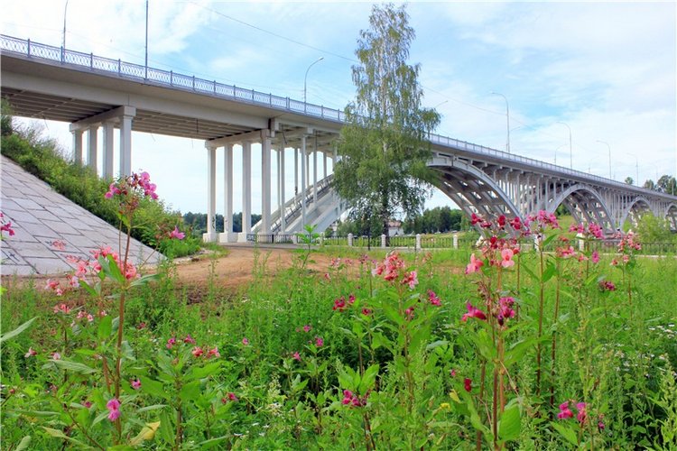 Июльское путешествие в Старицу, продолжение