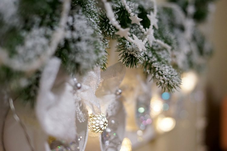 Белоснежный Новый год — Другие хобби и увлечения: сад (фото 7)