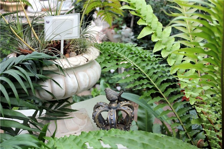 Тверской Ботанический Сад, продолжение | Бэйбики Тверской Ботанический Сад, продолжение