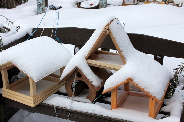 Тверской Ботанический Сад, заключительная часть (фото 5)