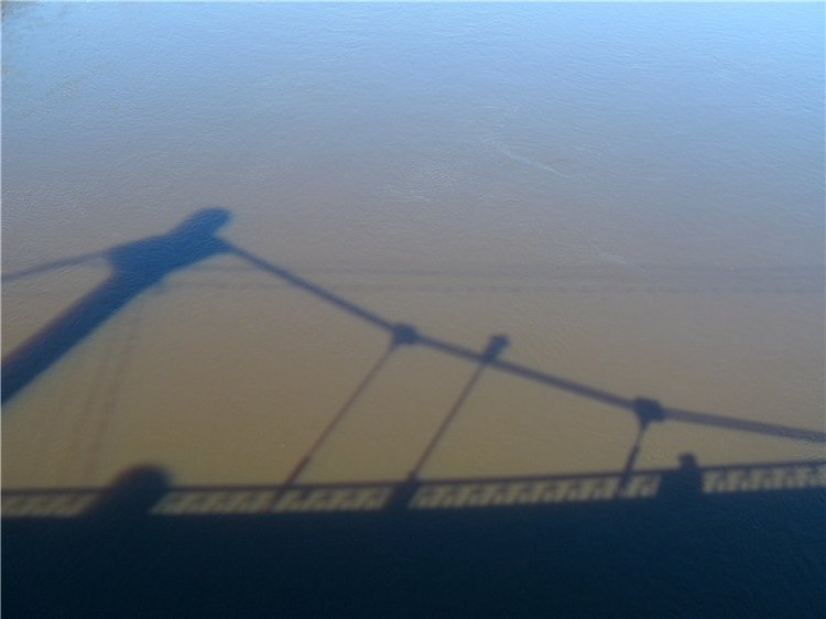 Одуванчиковая нежность, прогулка по Торжку