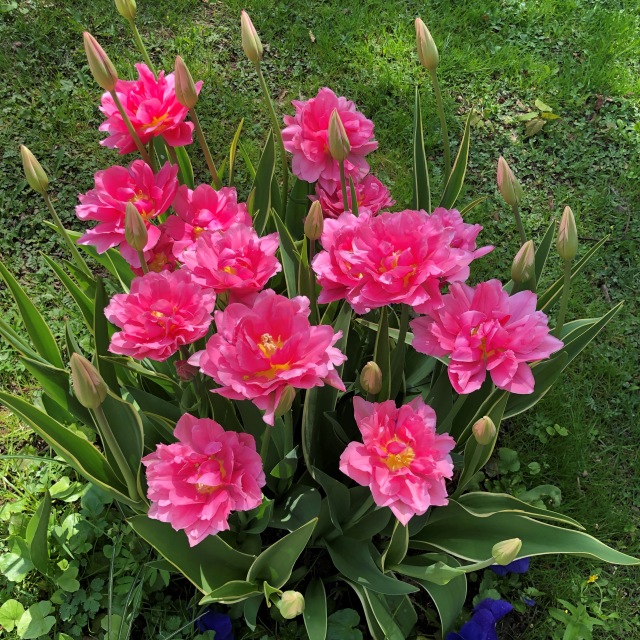 Тони Старк: приключения без брони. Был месяц май, половина вторая