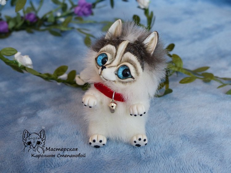 Малыш Хаски, крошка на ладошке. А может Хаски на Аляске? Или Хаски голубые глазки