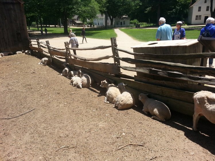 Прокатимся на машине времени? Поселение Старбридж. Новая Англия. 1830 год