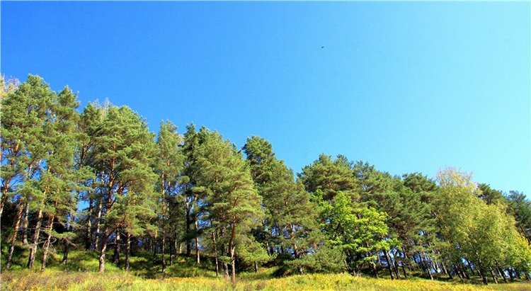 Старицкая Швейцария. Старицкие пещеры, д. Толпино, заключительная часть