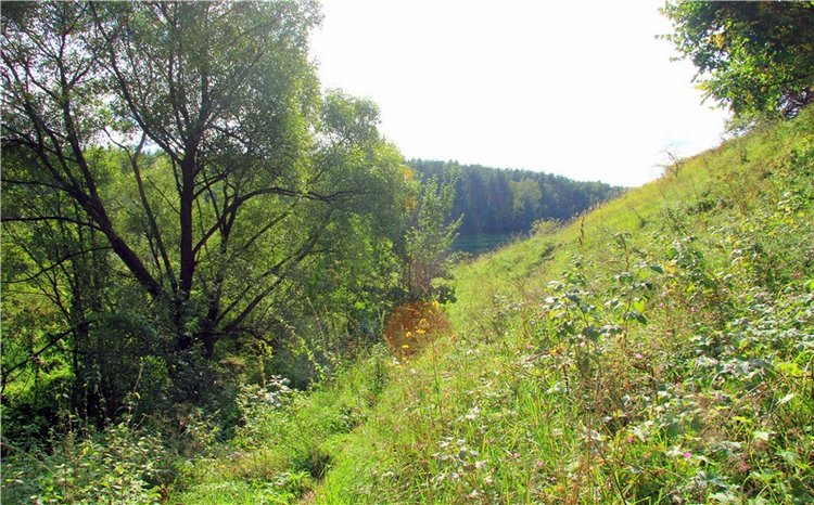 Старицкая Швейцария. Старицкие пещеры, д. Толпино