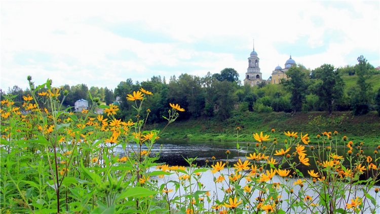 Августовская прогулка в Берново. Zwergnase Mischa (фото 3)