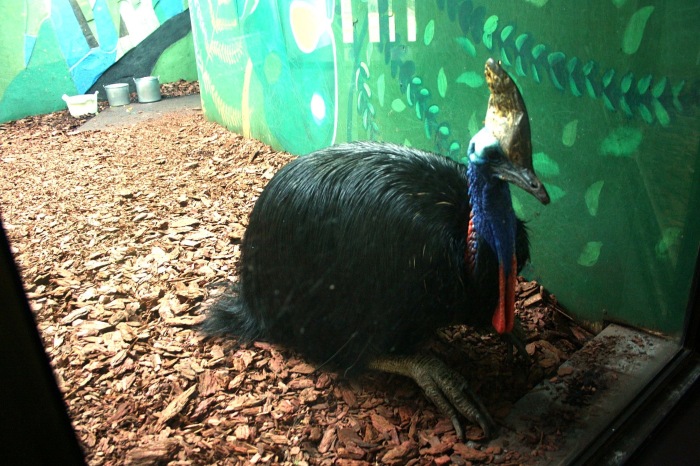 Московские каникулы. Часть 1