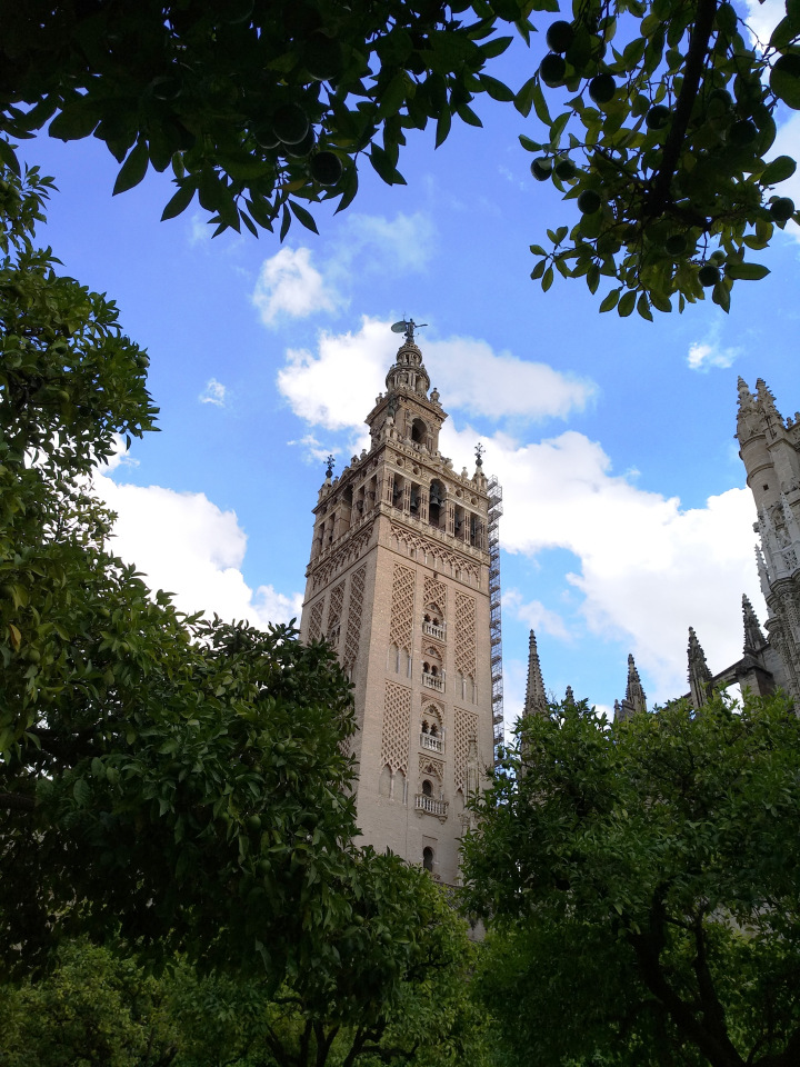 Тайна моего имени. Часть восьмая. Испания, Севилья. Колумб повсюду