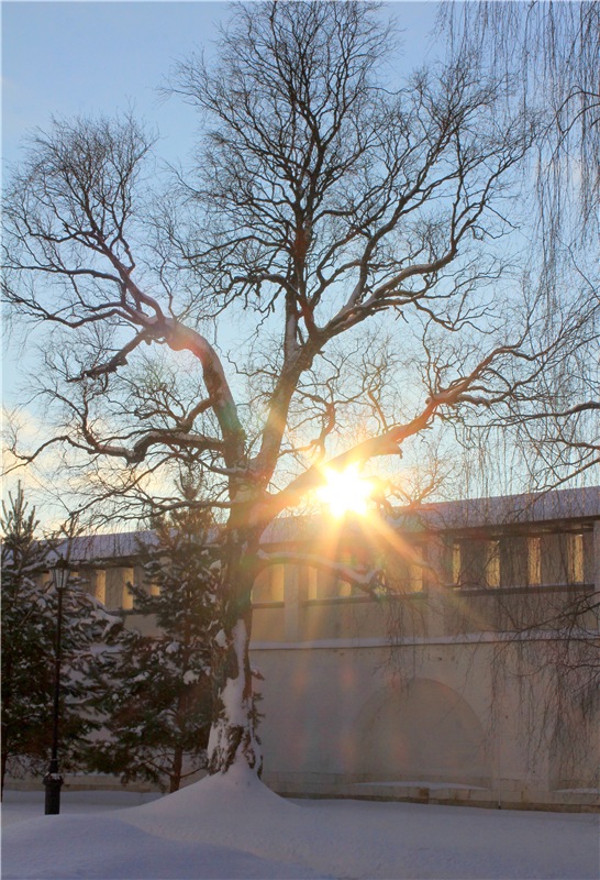 Счастливого Рождества! Старица, Свято-Успенский мужской монастырь (фото 5)