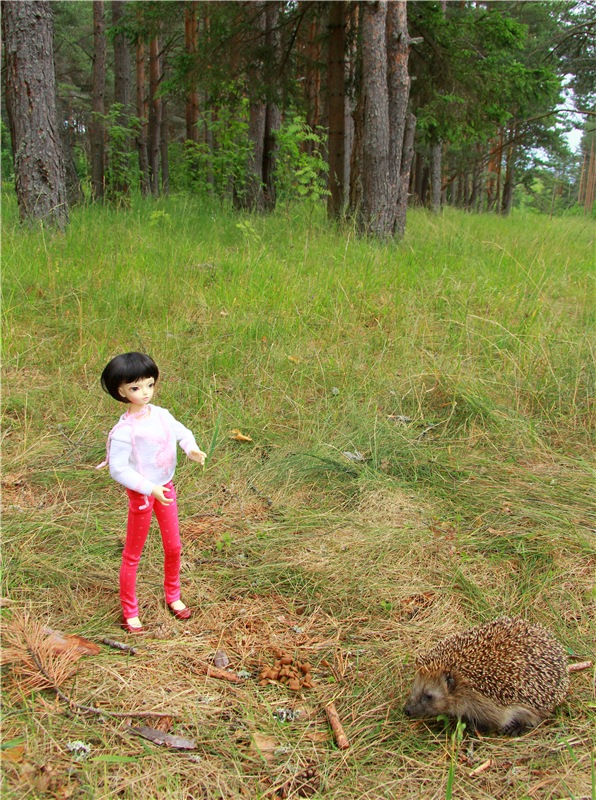 Девочка и Ёжик. Minifee Miyu FairlyLand | Бэйбики Девочка и Ёжик. Minifee Miyu FairlyLand