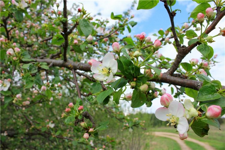 Женя-путешественница — Советские винтажные куклы (СССР): Ленигрушка
