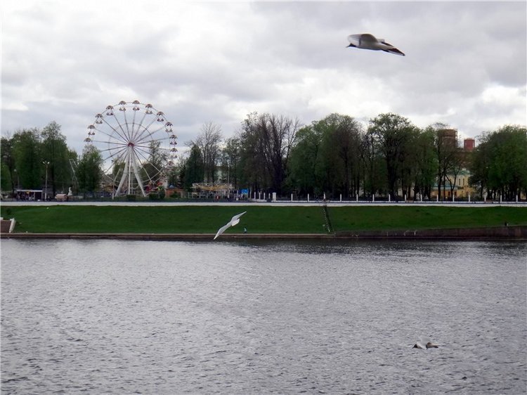 Милый мой город. Прогулка по Твери