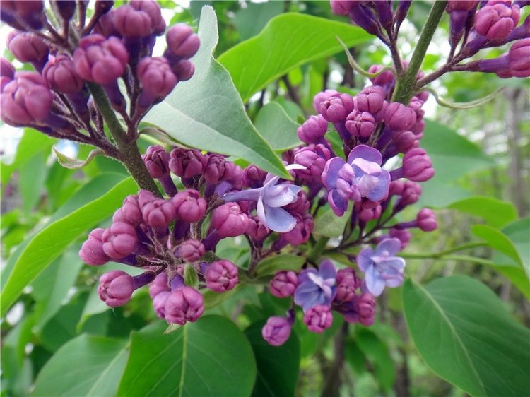 Милый мой город. Прогулка по Твери (фото 2)