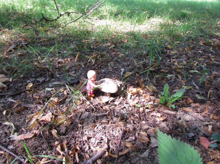 Малышня на прогулке в Бирюлёвском дендропарке