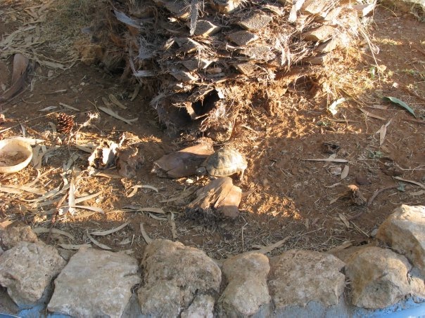 Путешествие на о. Кипр — Туризм и путешествия: фотоотчеты из поездок