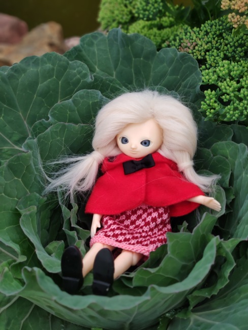 Кукла Лино. Lino Moof — Азиатские виниловые куклы (разное): Китай