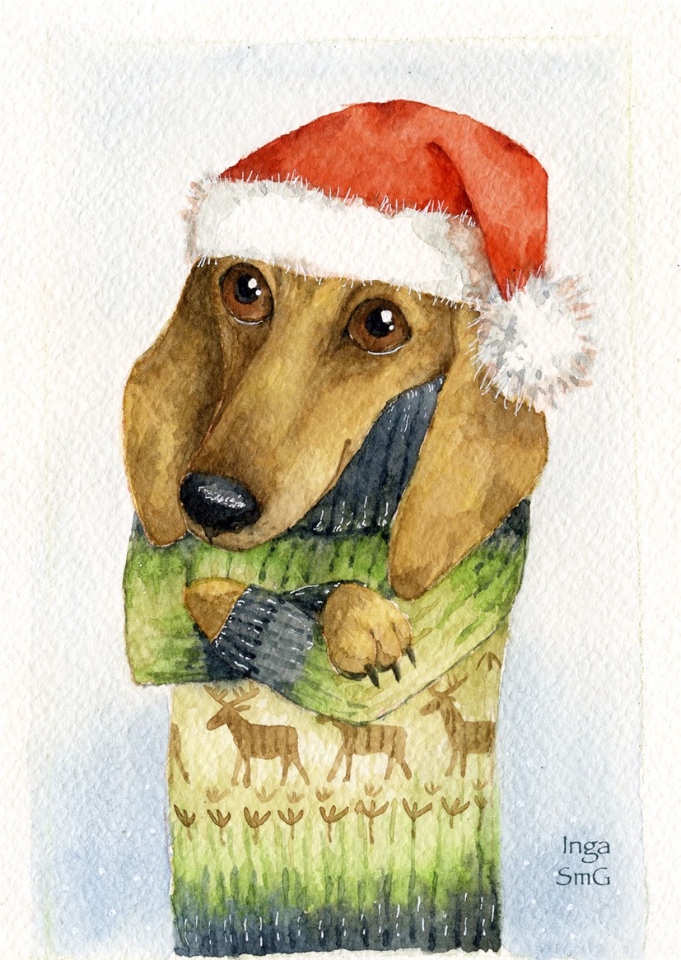 Предновогодние денёчки! Улыбнёмся вместе! Смешные таксы Инги smG