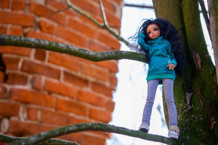 Масафира в урочище Юрцево (фото 6)