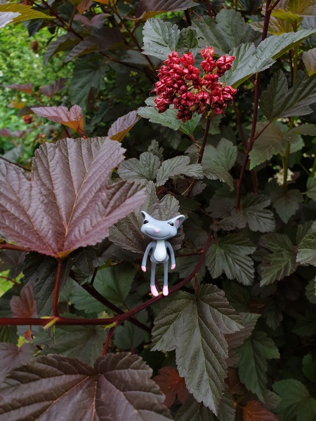 Лягушонок превращается в... мышонка