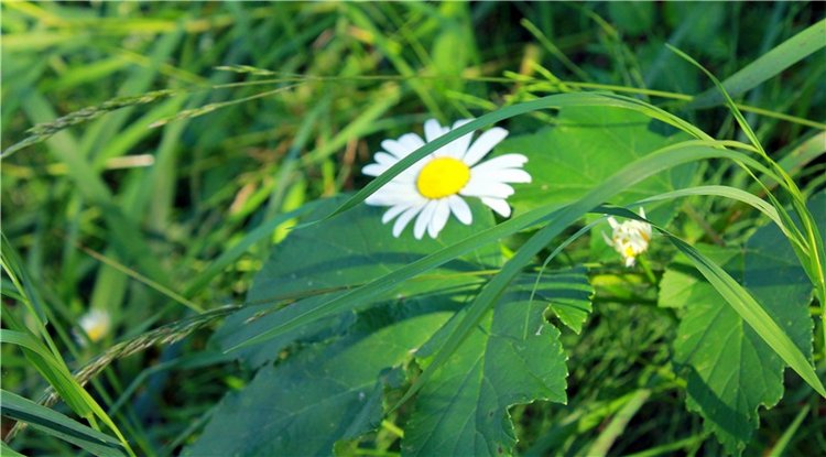 Путешествие Эли на красивый берег реки Волги