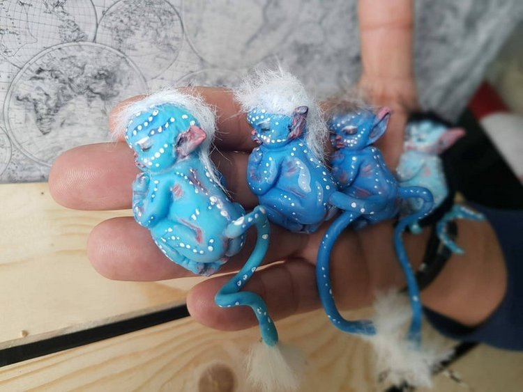 Hadasycasitas - Волшебный мир Патриции - ч.1