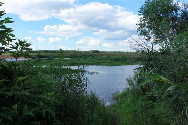 Путешествие Эли на красивый берег реки Волги