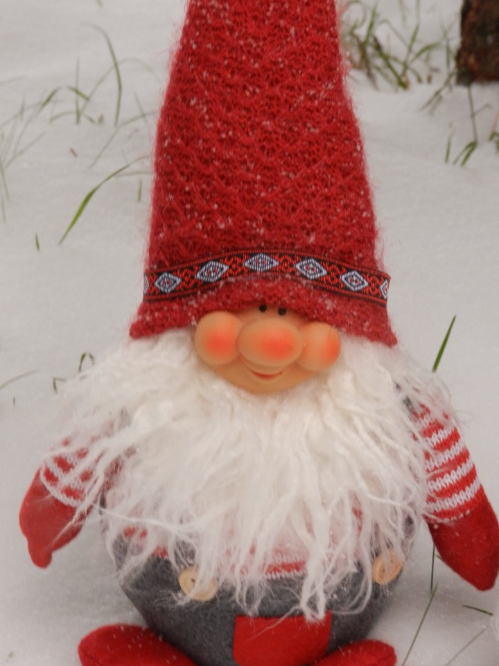 Наши зимние прогулки. Сабрина от Zawieruszynski