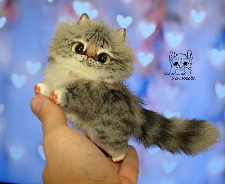 Котята Сибирской породы Табби и Мраморный биколор