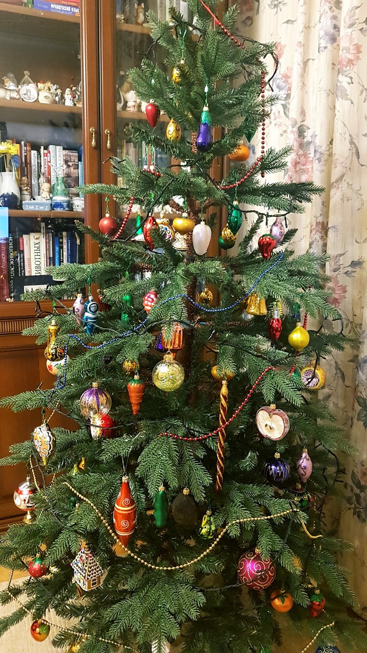 В степи родилась ёлочка, в жару она росла