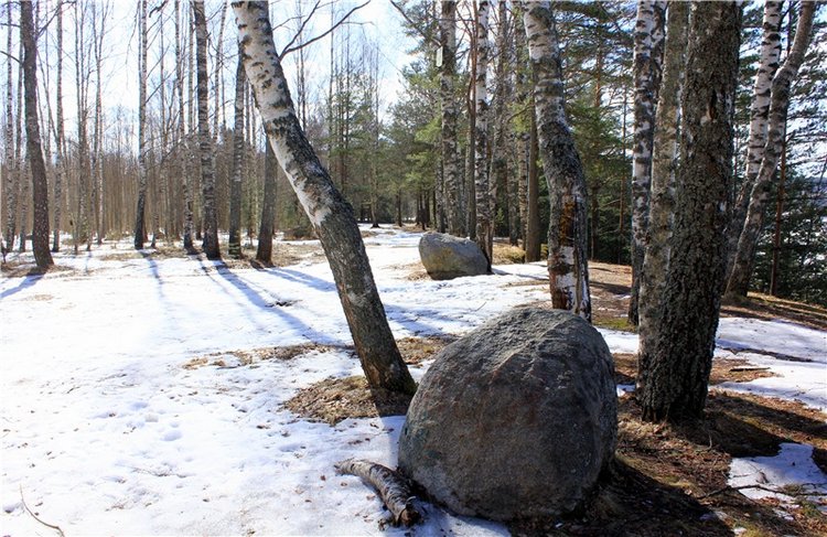 Весна в "Саду Камней" | Бэйбики Весна в "Саду Камней" — Куклы Meadow dolls (Медовушки): BJD (БЖД)